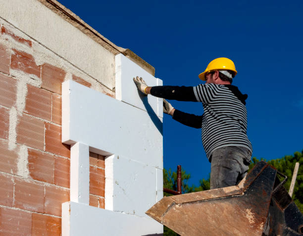 Best Attic Insulation Installation  in North Branch, MI