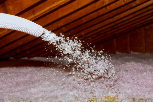 Best Insulation Replacement Services  in North Branch, MI