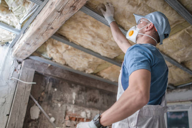 Insulation for New Construction in North Branch, MI